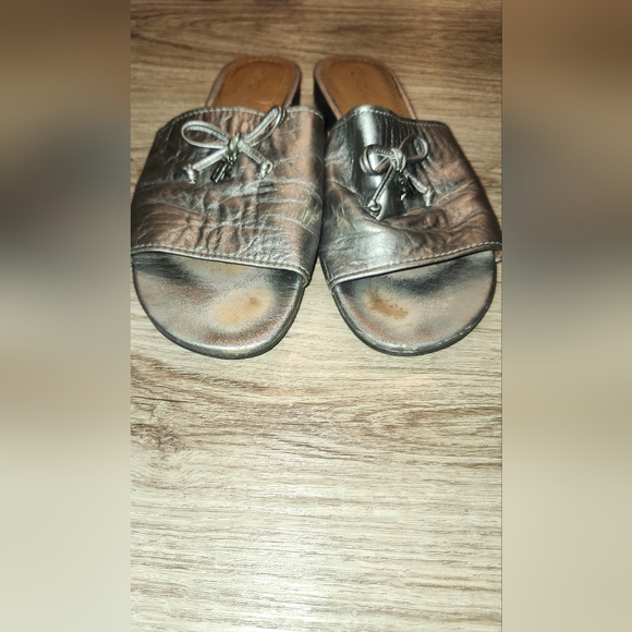 Silver Coach Slides/ Gold Slides - Picture 2 of 4